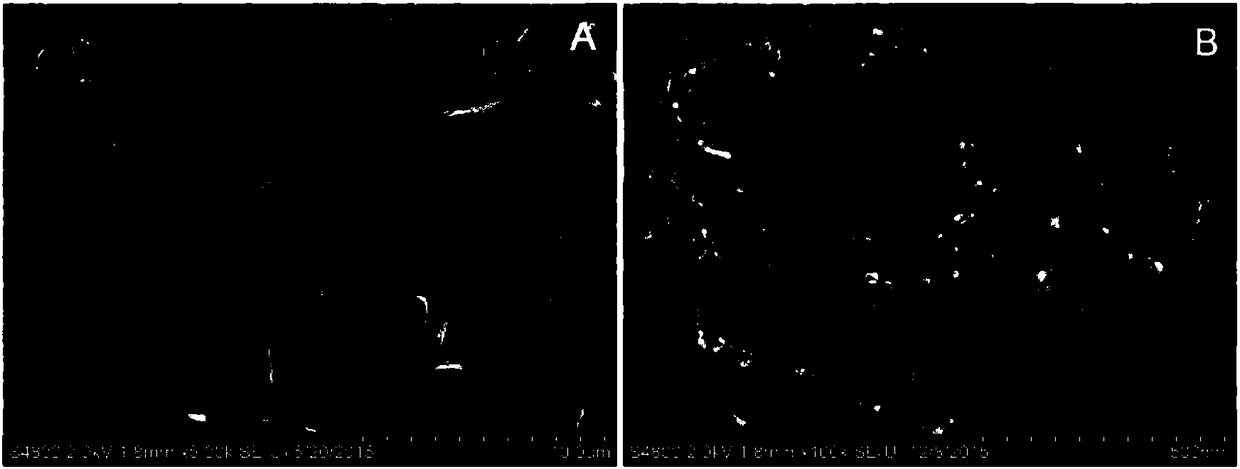 Vanadium phosphorus oxide catalyst for preparing maleic anhydride from n-butane through oxidation and preparation method thereof