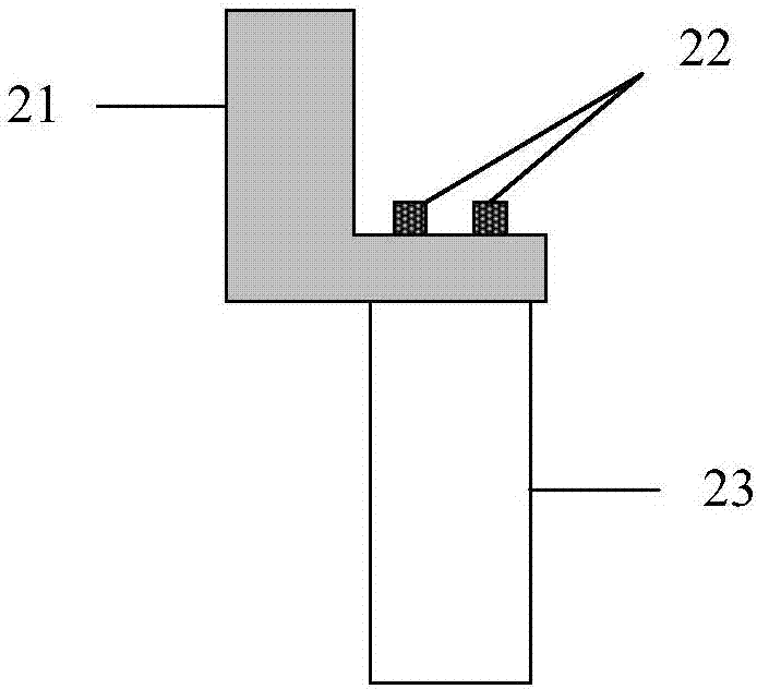 Developing device and developing processing method