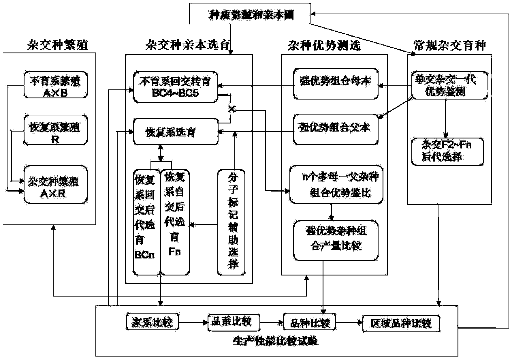 Triple cross wheat breeding technical method