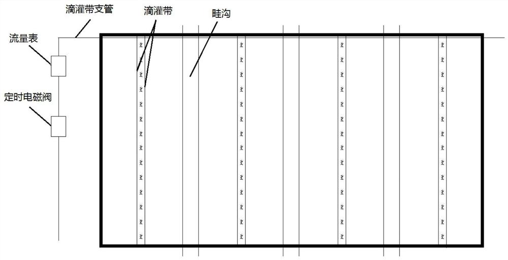 Water-saving irrigation and fruit quality improvement method for grapes