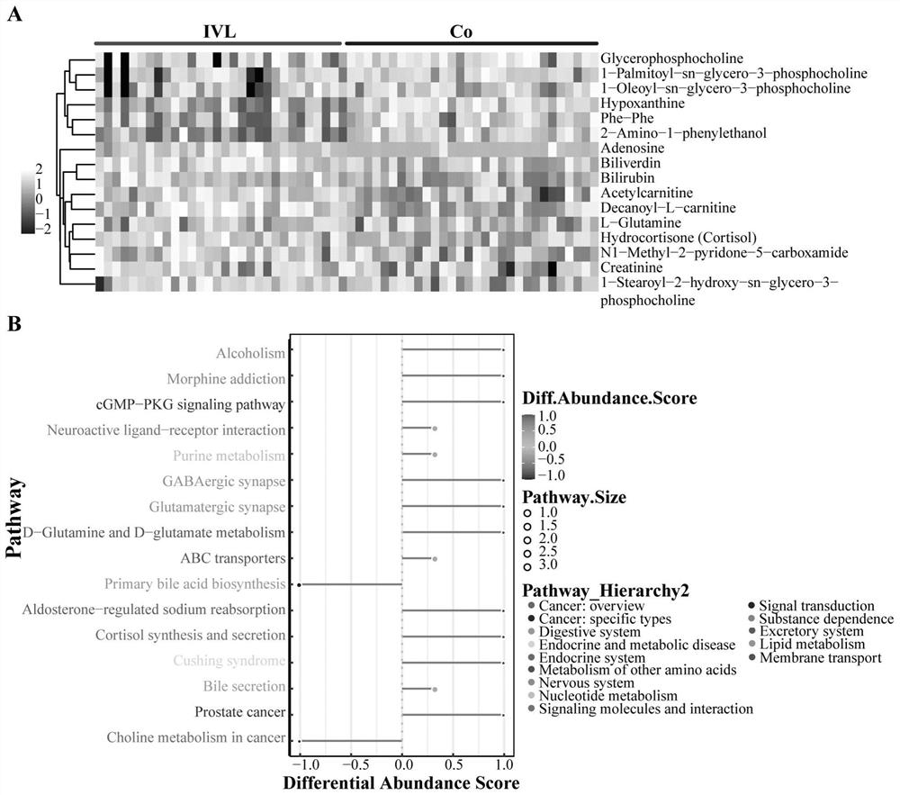 Application of a panel of biomarkers in the preparation of a kit for predicting the progression of intravenous leiomyomatosis