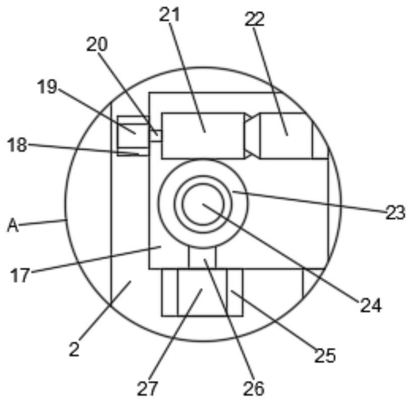 Dyeing device for pathological technology