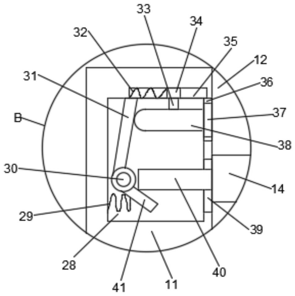 Dyeing device for pathological technology