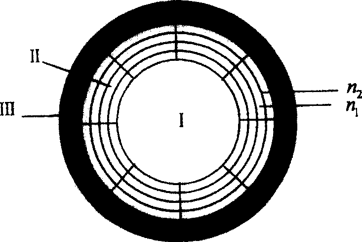 Araneose hollow optical fiber