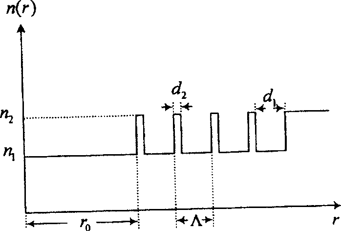 Araneose hollow optical fiber