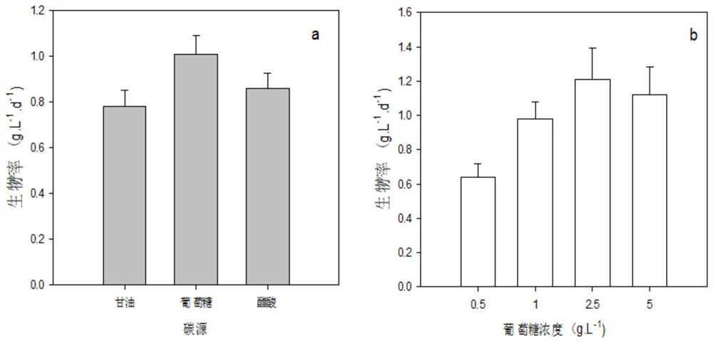 Method for preparing squalene by utilizing heterotrophic biological membrane adherent autotrophic culture of grape algae