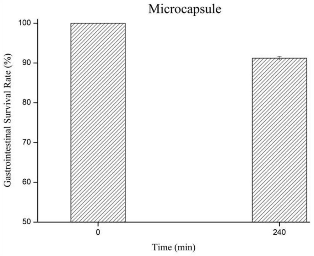 Lactobacillus plantarum DMDL9010 microcapsule as well as preparation method and application thereof