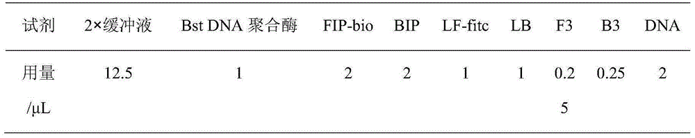 Method for detecting characteristic fungus Amorphotheca resinae in jet fuel