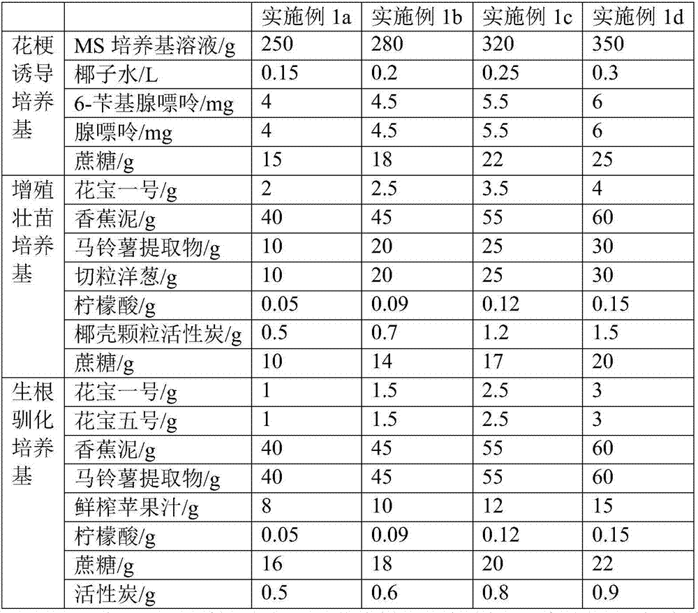 Defined medium for phalaenopsis tissue culture and culture method thereof