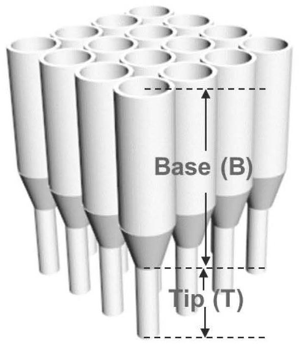 A biomimetic light harvesting device n3/pt1/aao film and its preparation process and application