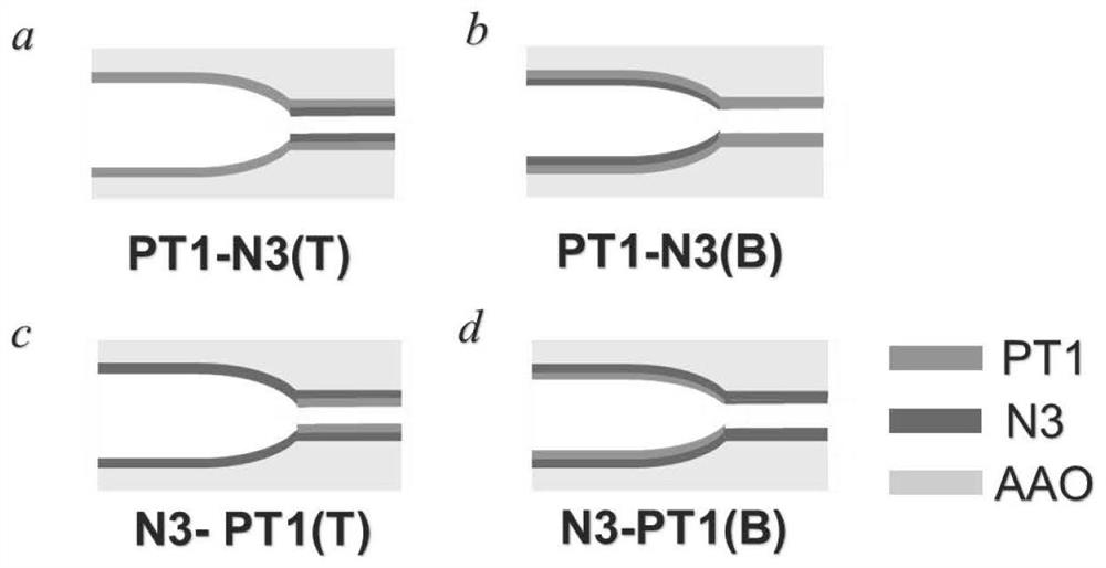 A biomimetic light harvesting device n3/pt1/aao film and its preparation process and application