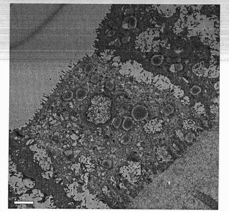 Method for extracting unsaturated fatty acid composition from humen amniotic epithelial cells, and application thereof