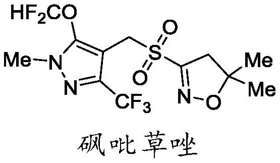 A kind of synthetic method of pyroxazole