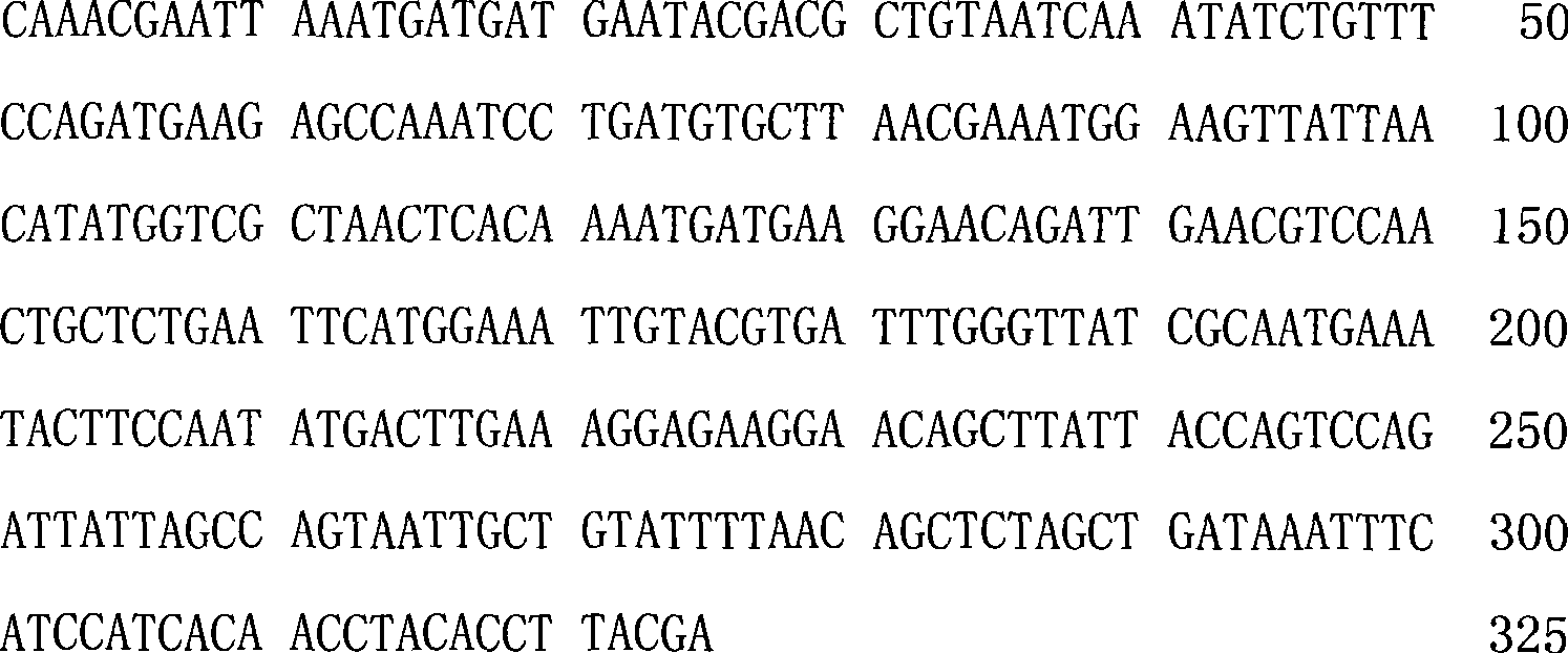 Japanese pondcrayfish reovirus gene diagnosis reagent kit