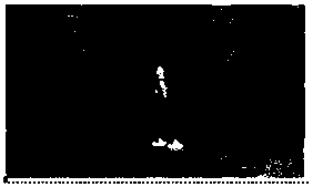 Multi-type vision sensing cooperative target tracking method