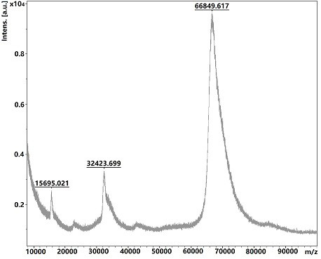 A kind of hydroxymasangolactone hapten and its preparation method and application