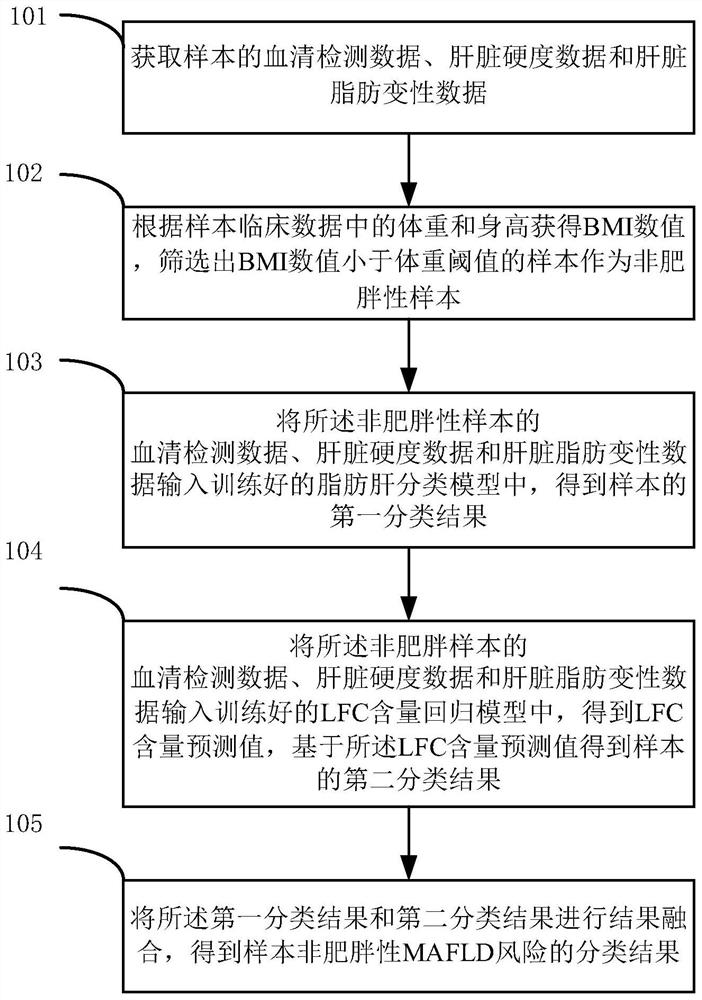 Prediction system and device for non-obesity MAFLD and storage medium