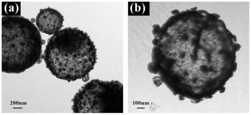 Hollow-nanostructural Co2P@C composite material as well as preparation method and application thereof