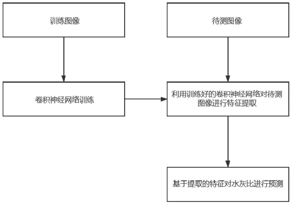 Hardened cement water cement ratio prediction method and system based on cement microstructure image