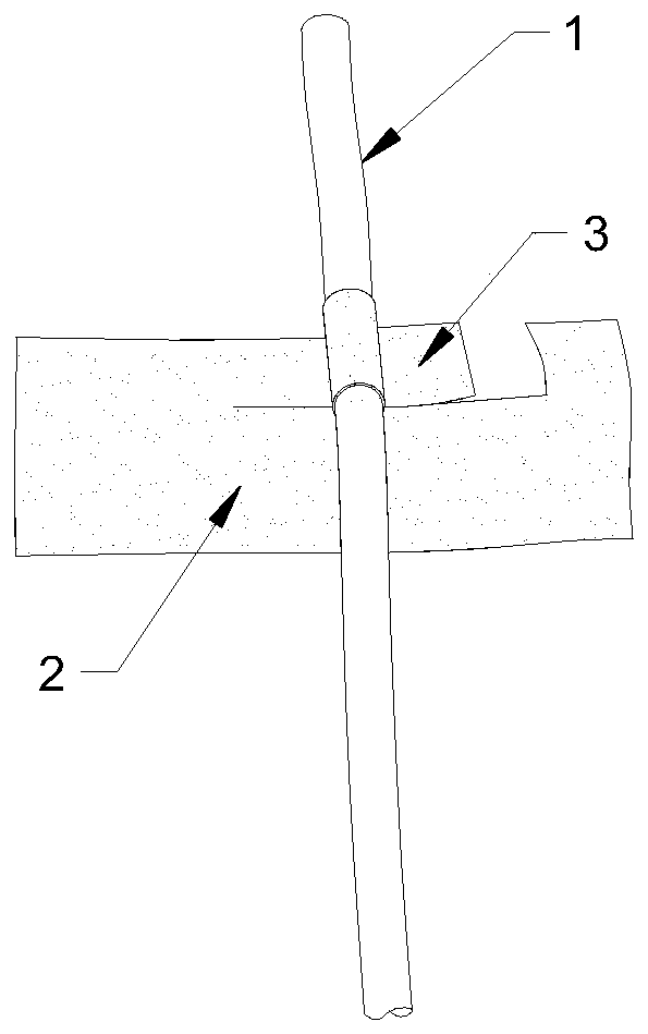 Patient whole-body tube fixing system and implementation method thereof