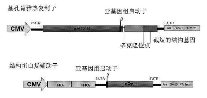 Replication-defective A virus expression vector system and vaccine preparation method