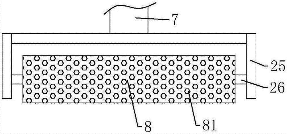 Biomass waste treatment device