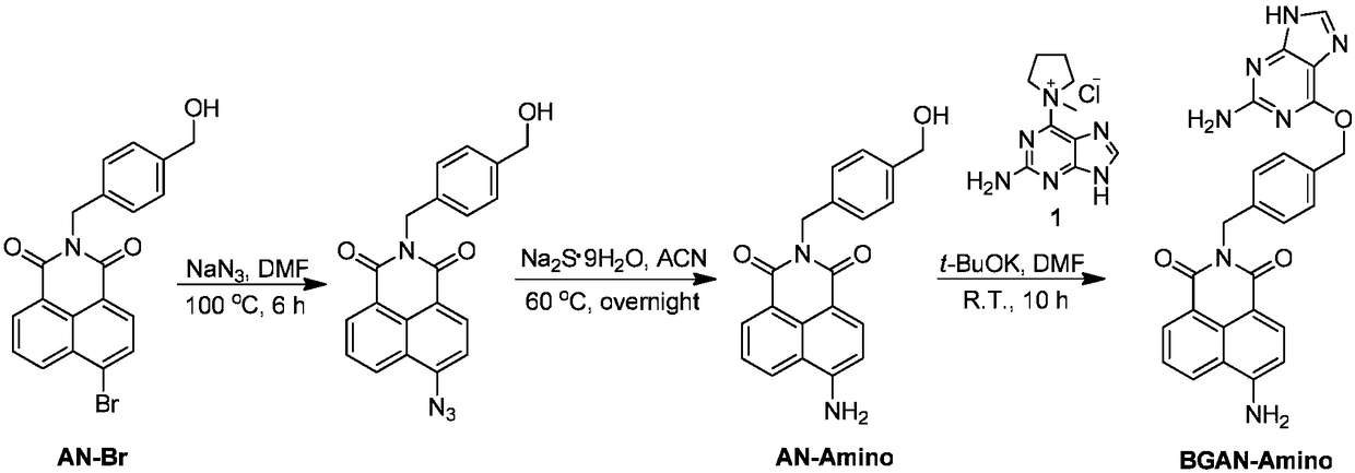 SNAP-tag protein tag fluorescence probe with quick specific marking ability