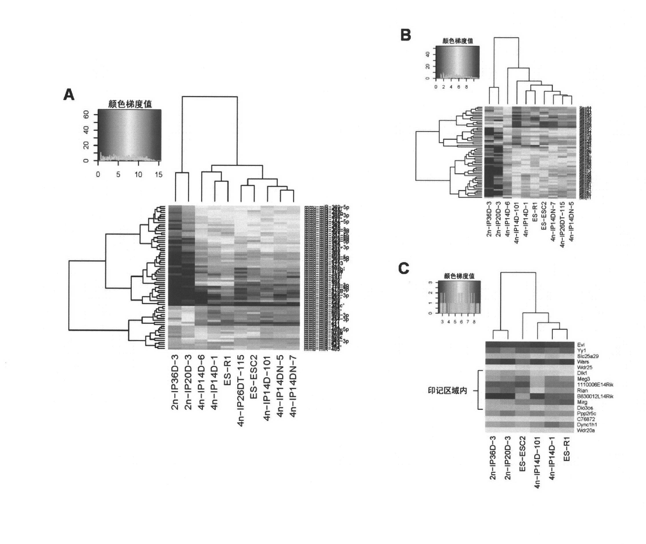 Key genes, microRNAs and other non-coding RNAs or combination thereof used for identifying or regulating cell pluripotency