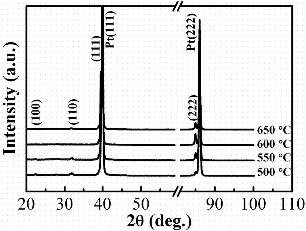 Method for preparing (111) oriented bismuth ferrite films by use of sol gel and chemical solution methods