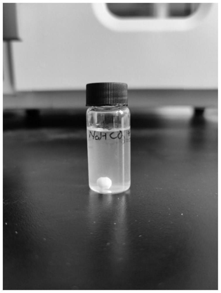 Rapid polymerized hydrogel material as well as preparation method and application thereof