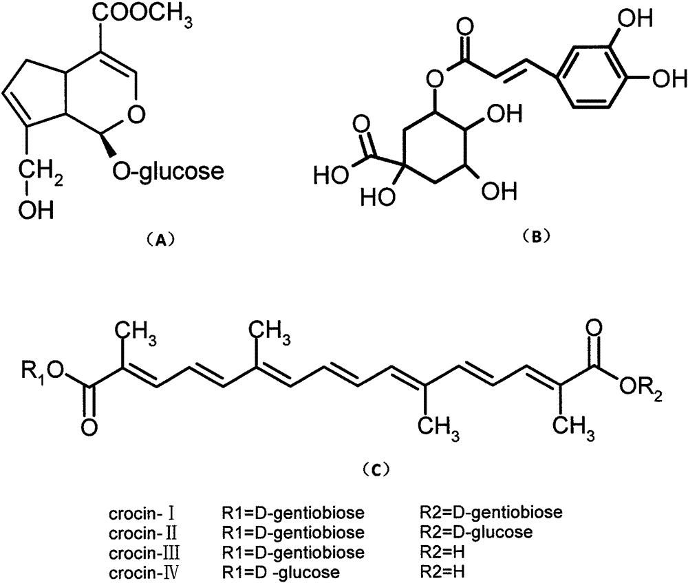 Simultaneous production of extractant and its extraction and separation method for multiple functional components of Gardenia jasminoides