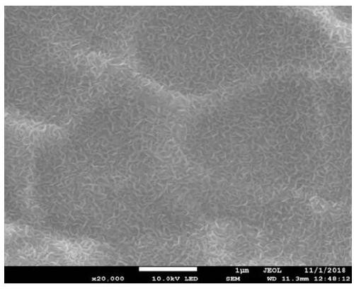 TiO2 nano-array film and preparation method thereof