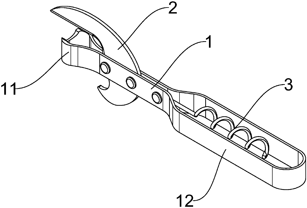 Multifunctional bottle opener