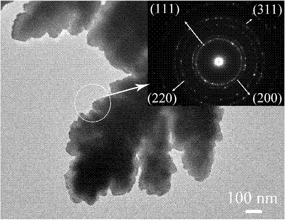 Supercapacitor three-dimensional porous composite film and preparation method thereof