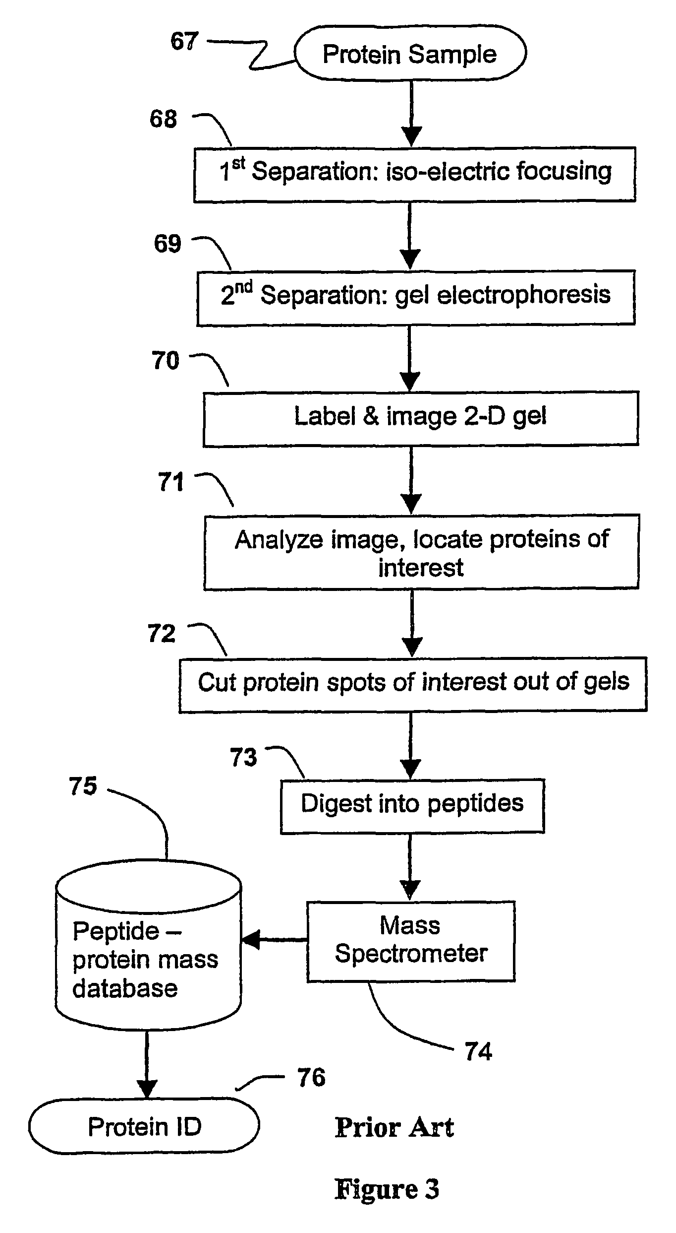 Parallel process for protein or virus separation from a sample