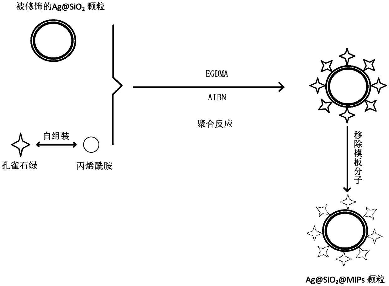 Preparation method for Raman active substrate with adsorbing effect on malachite green