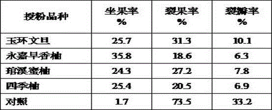 Technology for improving fruit setting rate and inhibiting fruit internal crack of Ma Bu pomelo