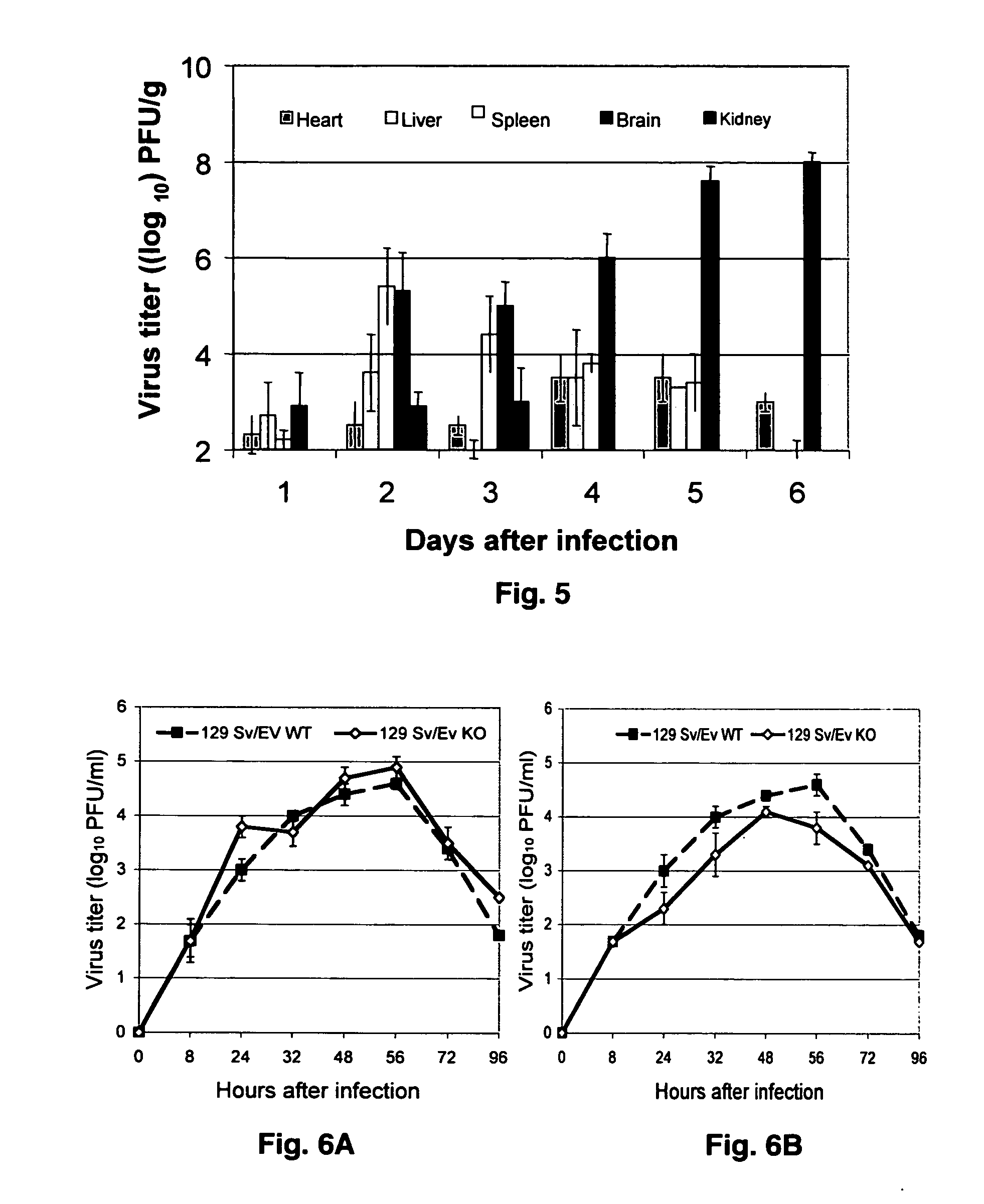 Chimeric sindbis-eastern equine encephalitis virus and uses thereof