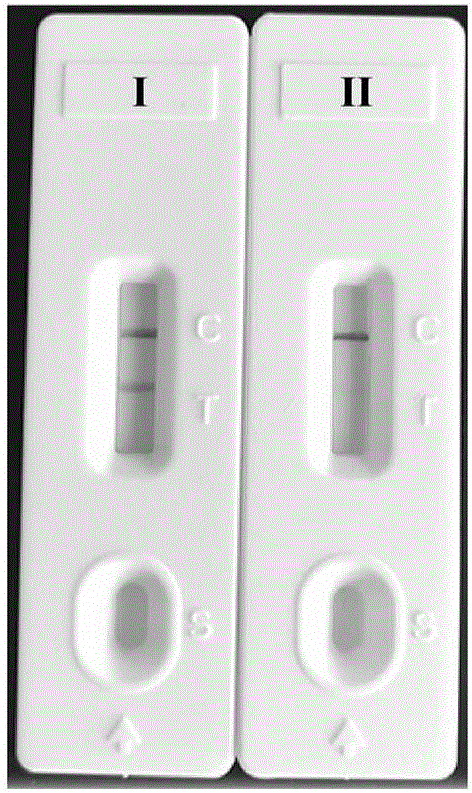 Method for detecting Listeria monocytogenes by multiple cross amplification coupled with gold nanoparticle-based biosensor