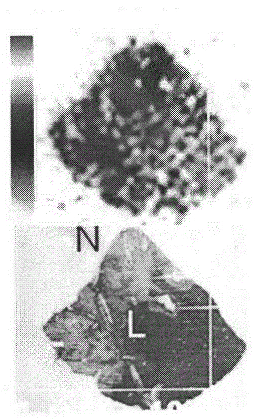 Application of radiolabeled irradiation anthranone or naphtho dianthrone compounds to preparation of antitubercular medicine