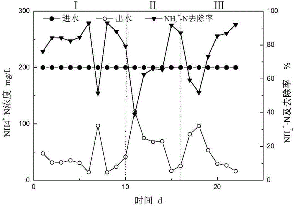 Method for quickly starting CANON nitrogen removal process