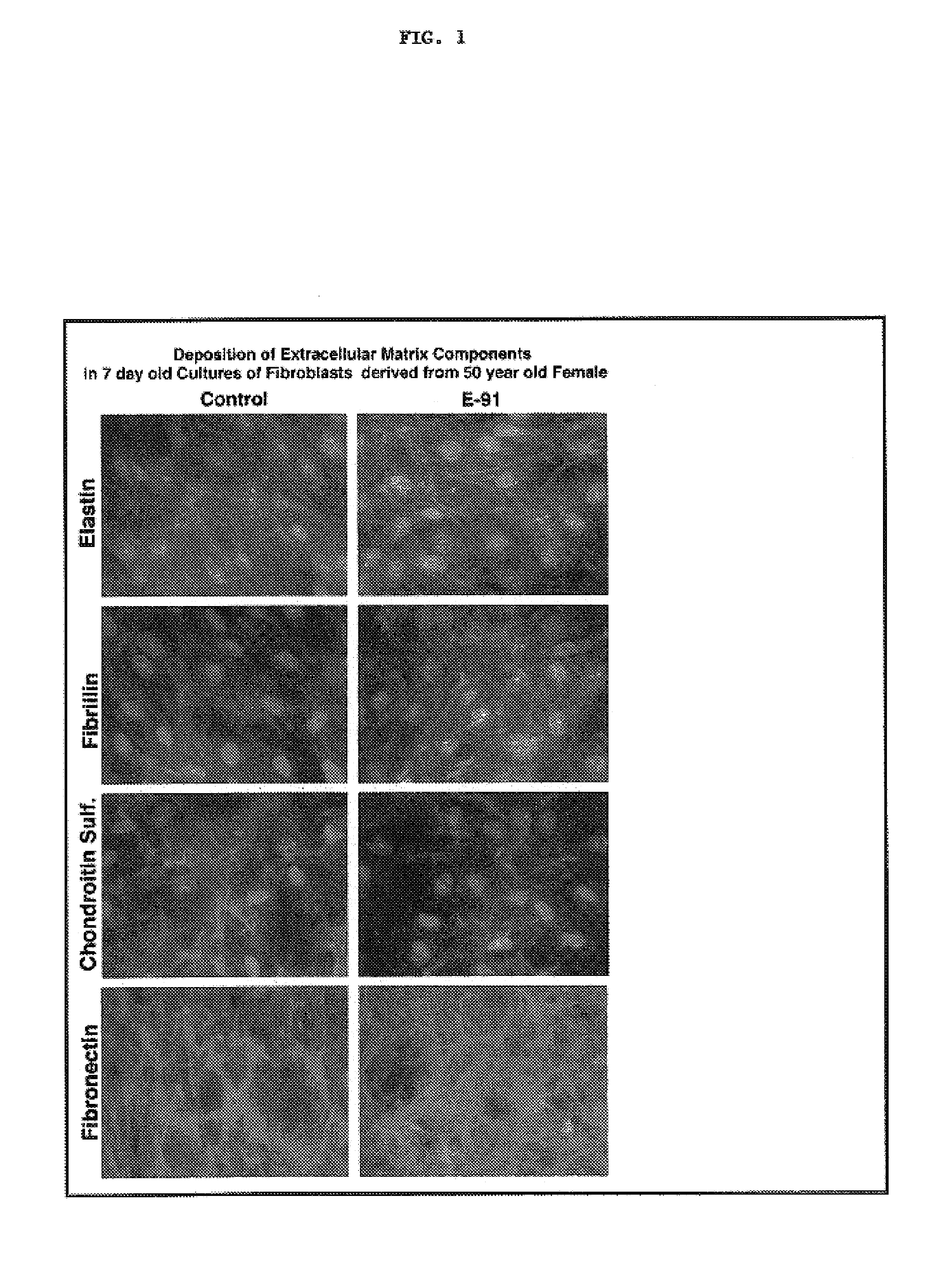 Elastin digest compositions and methods utilizing same