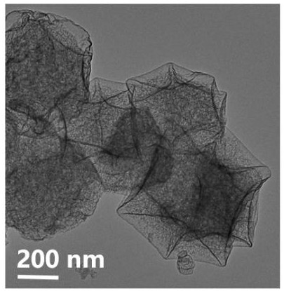 Preparation method and application method of cobalt-tellurium diatomic site catalyst