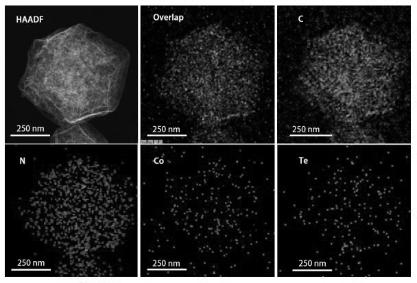 Preparation method and application method of cobalt-tellurium diatomic site catalyst