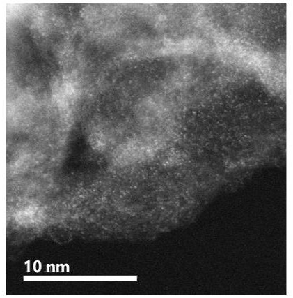 Preparation method and application method of cobalt-tellurium diatomic site catalyst