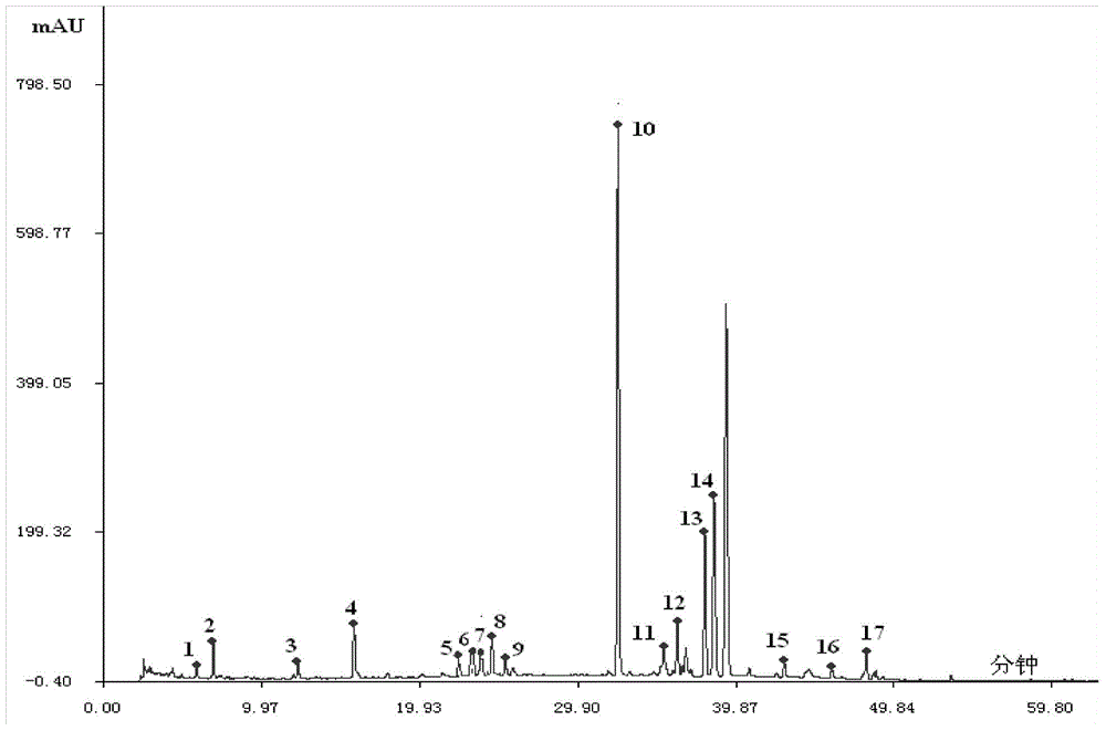 Traditional Chinese medicine composition and fingerprint detection method of raw material herb of traditional Chinese medicine composition