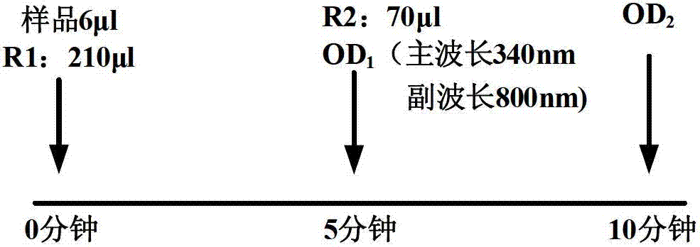 Apolipoprotein C3 detecting kit and detecting method for apolipoprotein C3 by adopting same