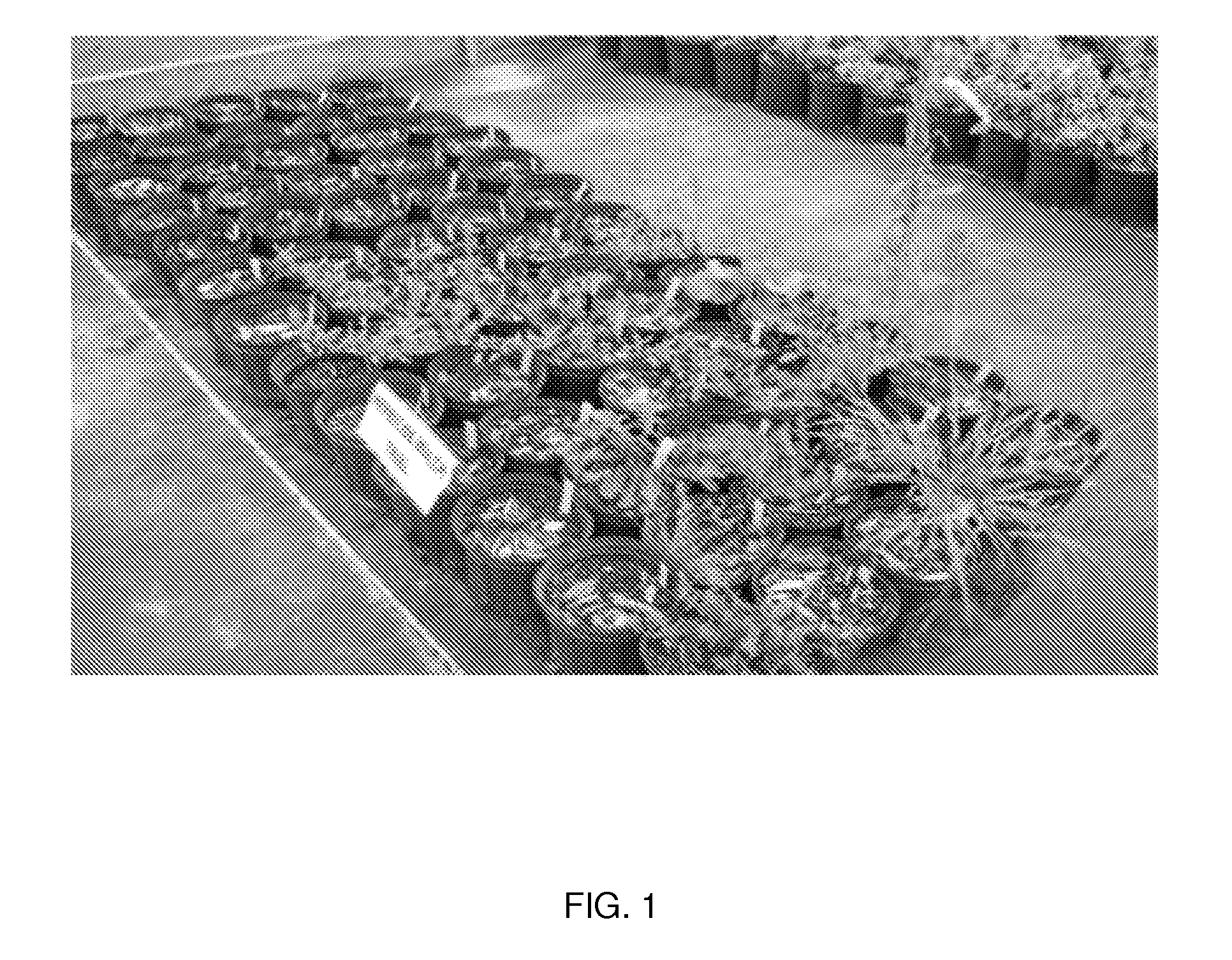 Natural bioherbicides and related materials and methods