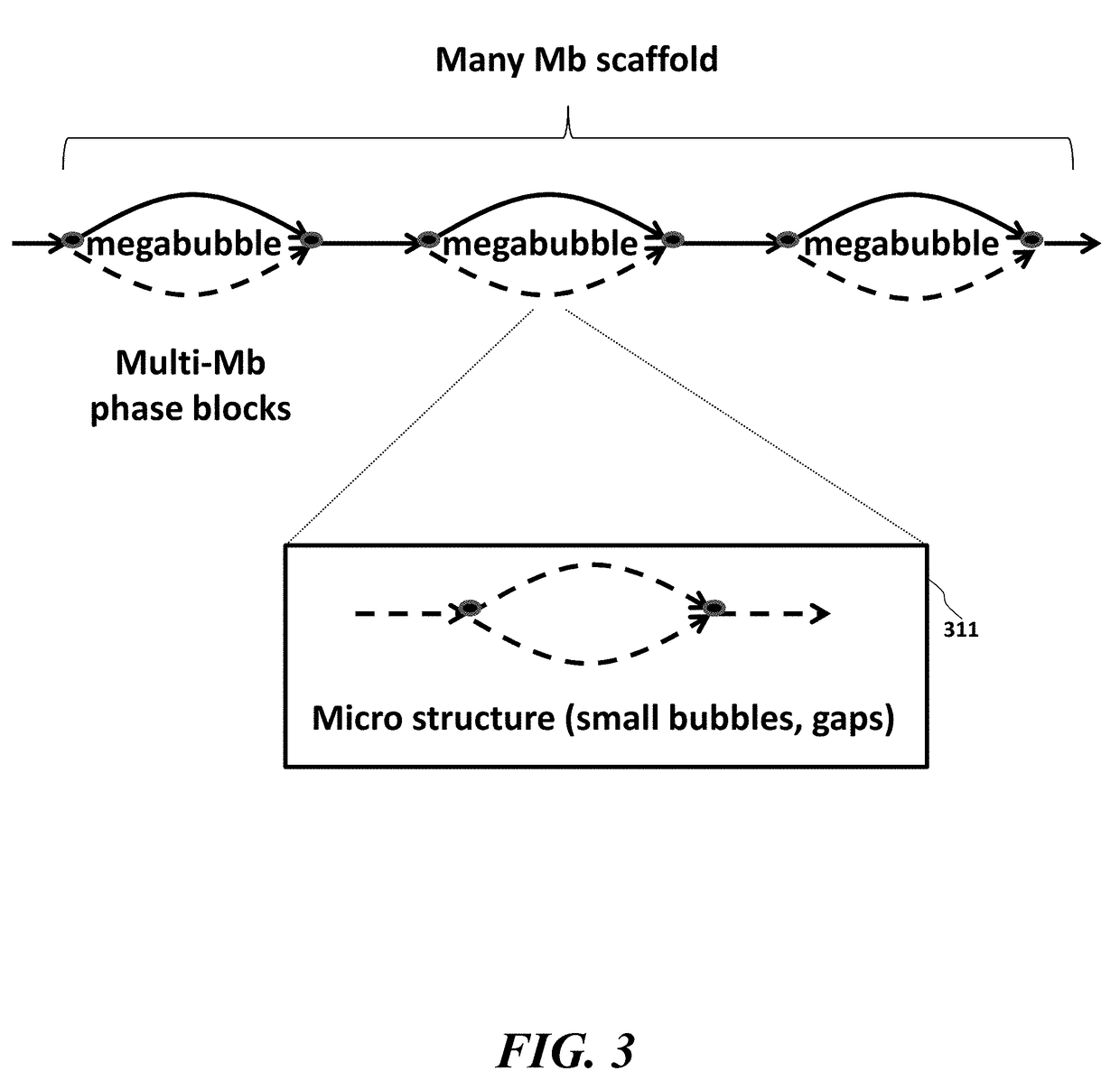 Systems, methods, and media for de novo assembly of whole genome sequence data