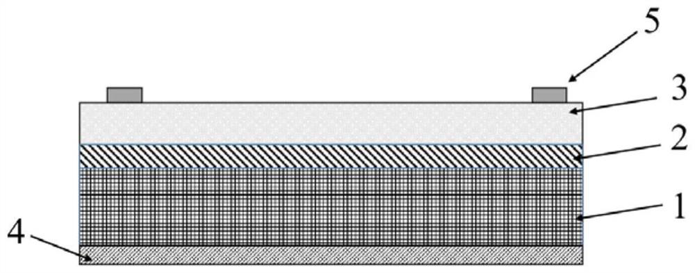 Two-dimensional material in-situ mechanical parameter test chip structure and preparation method thereof